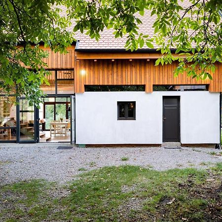Bed and Breakfast ASTER panzió Cîmpu Cetăţii Exterior foto