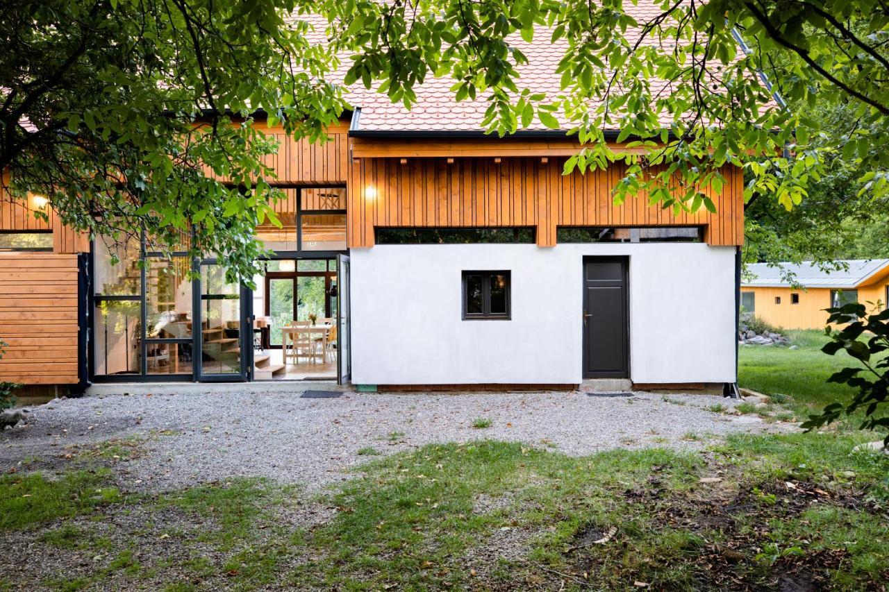 Bed and Breakfast ASTER panzió Cîmpu Cetăţii Exterior foto