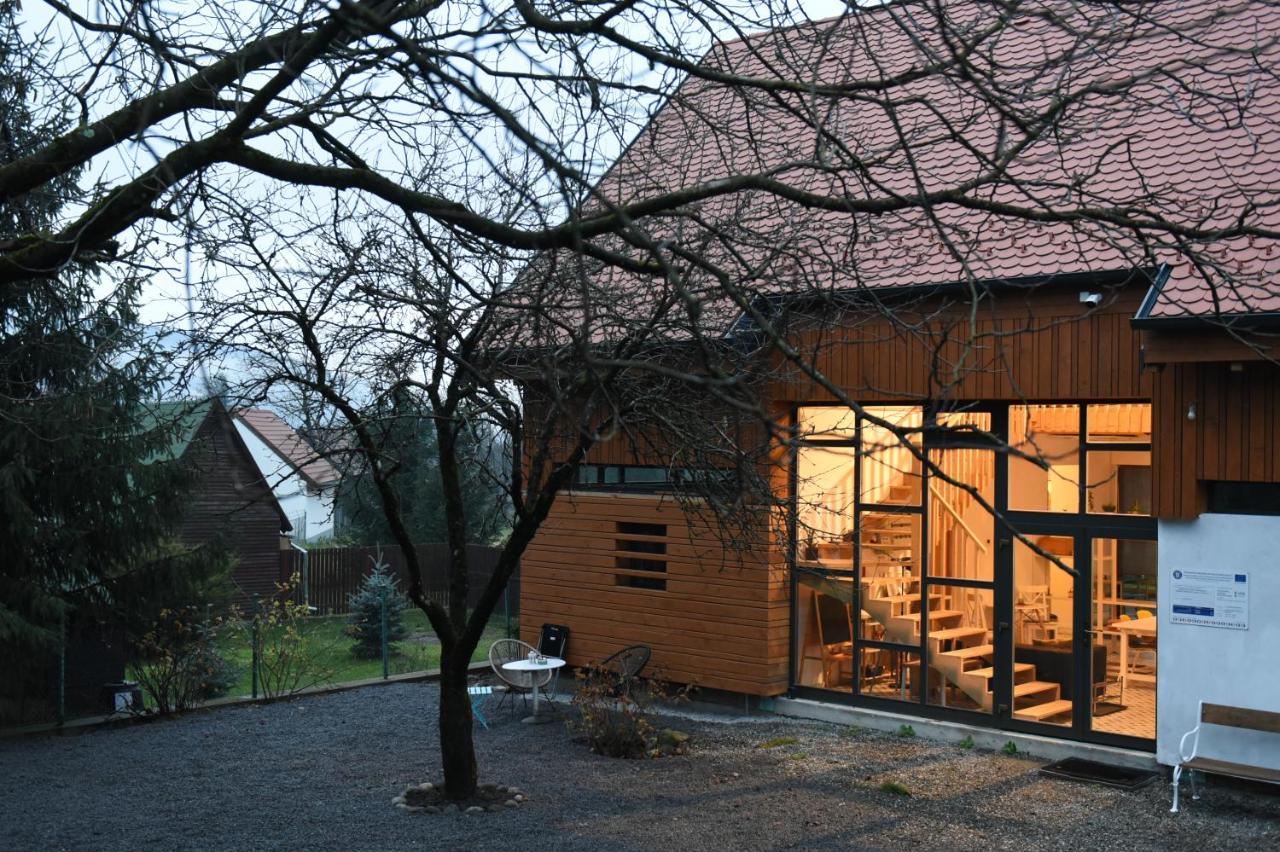 Bed and Breakfast ASTER panzió Cîmpu Cetăţii Exterior foto