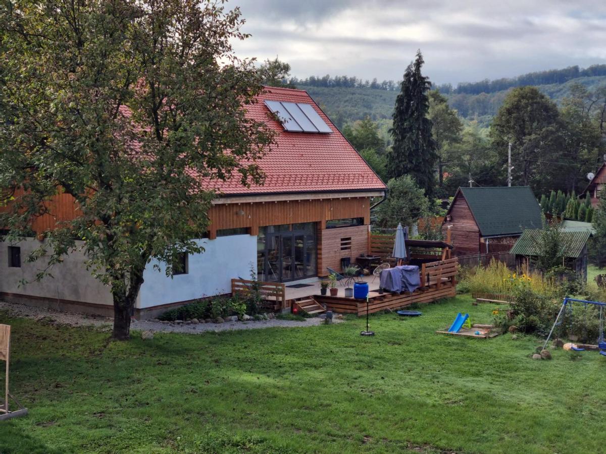 Bed and Breakfast ASTER panzió Cîmpu Cetăţii Exterior foto