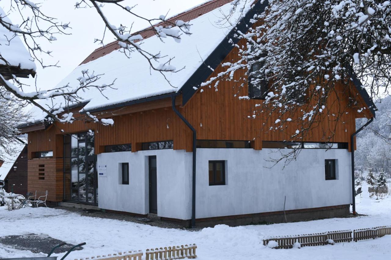 Bed and Breakfast ASTER panzió Cîmpu Cetăţii Exterior foto