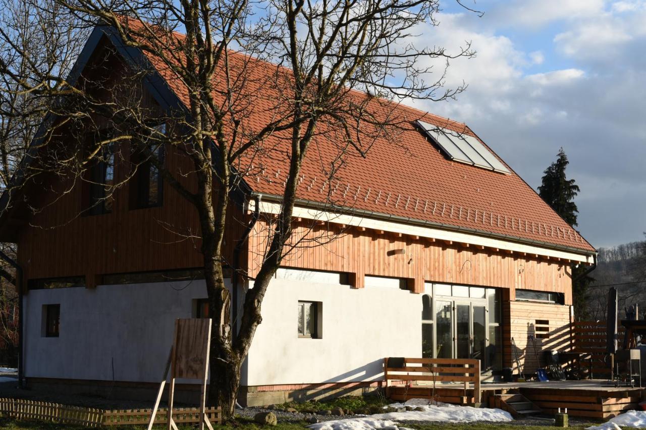Bed and Breakfast ASTER panzió Cîmpu Cetăţii Exterior foto
